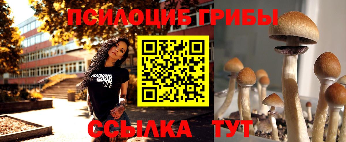 Галлюциногенные грибы ЛСД Азов