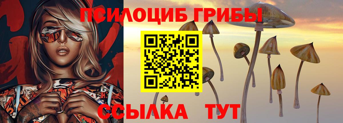 Псилоцибиновые грибы Psilocybine cubensis  Галлюциногенные грибы мухоморы  Азов  Вход с VPN 
